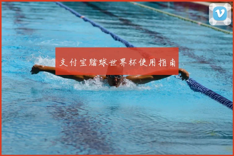 支付宝赌球世界杯使用指南