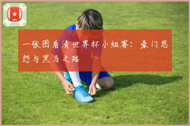 一张图看清世界杯小组赛：豪门恩怨与黑马之路