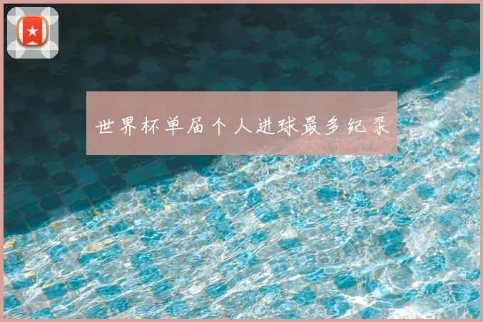 世界杯单届个人进球最多纪录