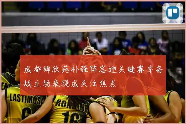 成都锦欣苑补强阵容迎关键赛季备战主场表现成关注焦点